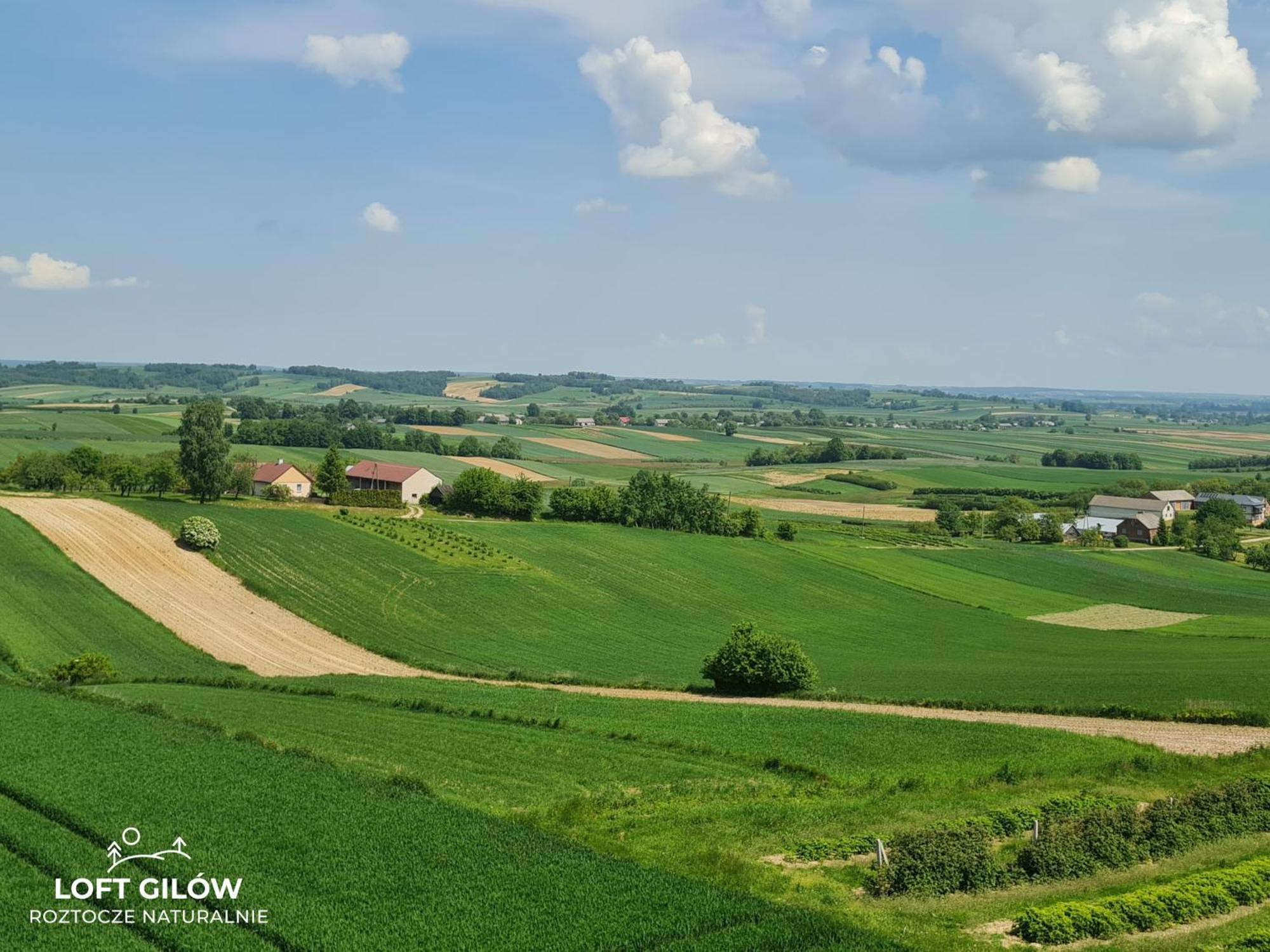 LOFT GILÓW Roztocze Zewnętrze zdjęcie